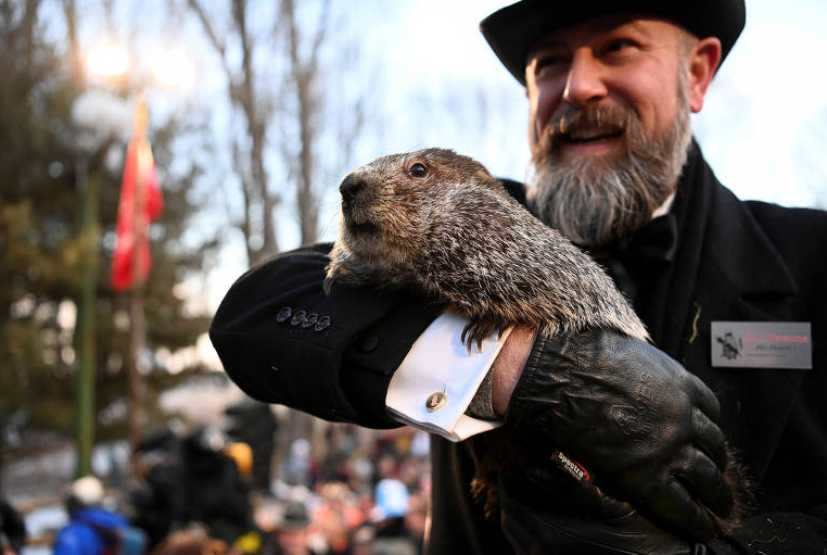 A tradição por trás do feriado nacional do Dia da Marmota nos EUA